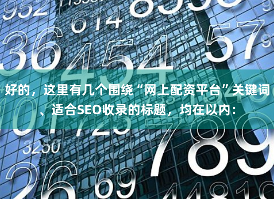 好的，这里有几个围绕“网上配资平台”关键词、适合SEO收录的标题，均在以内：